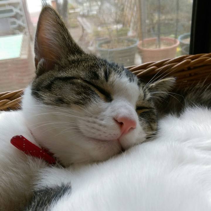 10047e77 a737 40d3 b517 dd47e917fbec