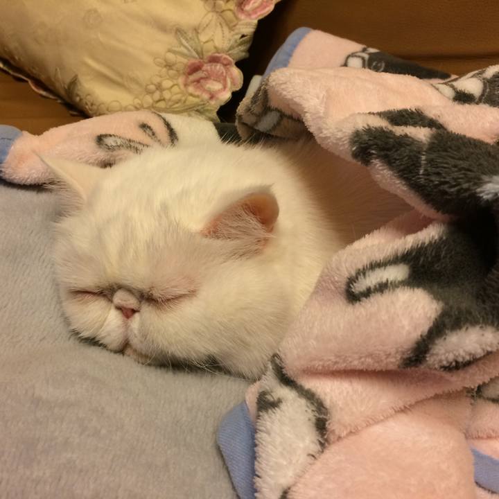 100552f2 d220 4755 9259 546730a8b920