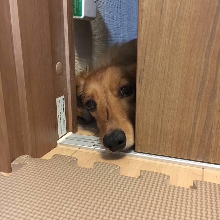 100555bf ea5f 47ed 8d50 cb37a55d242b