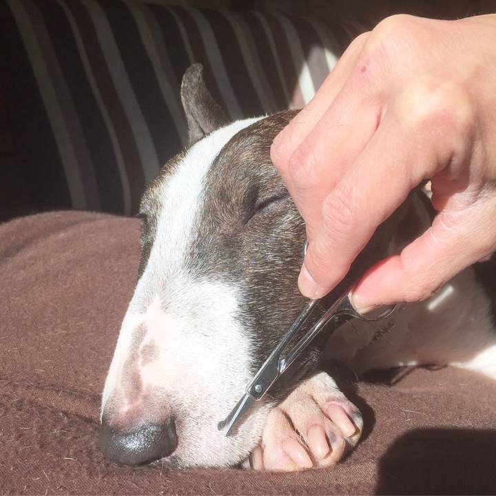 1005929c 8e8c 43df 8b00 c040fae5d8e1