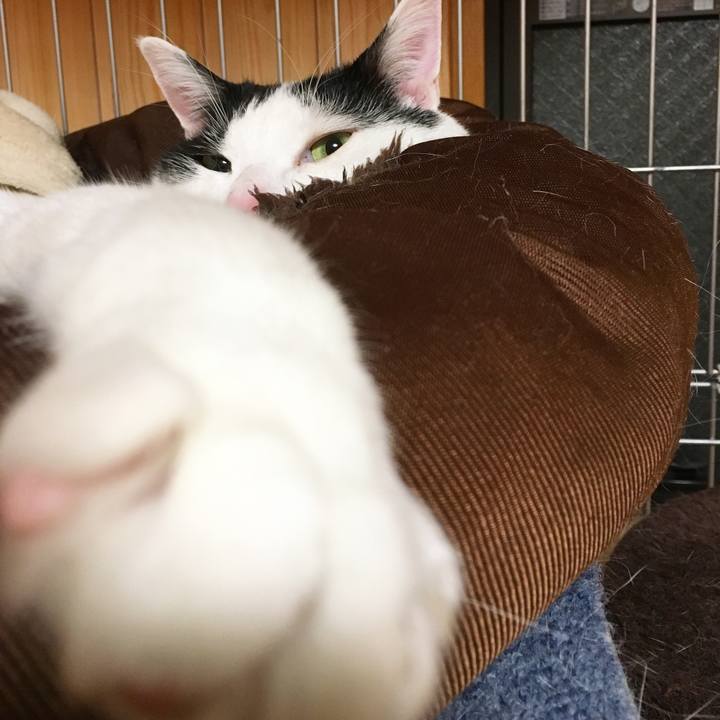 10059d81 5052 40b6 ab2e 1a90c92c12ed