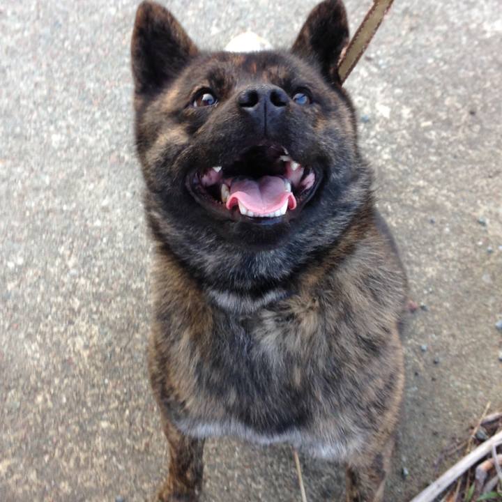 10061b54 c591 4cfa b34e dd5e417a8d6e