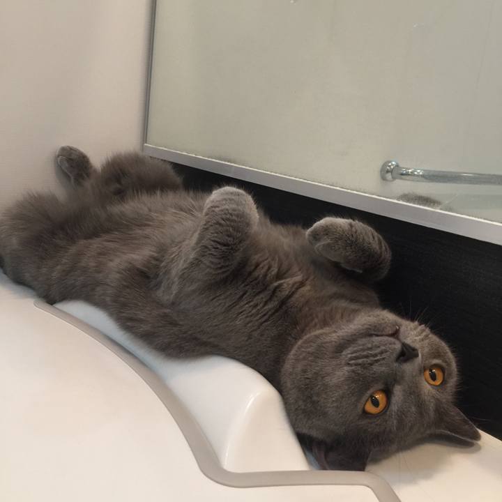 10068e9b f854 492d 9e9b 852a7a22fb22