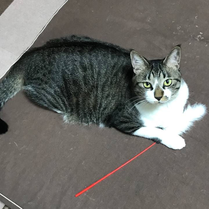 100690bc 6dd7 4749 998a c2153589ae2e