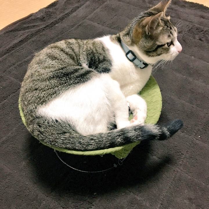 1006c303 7b1b 449b be09 d071b083b4a3