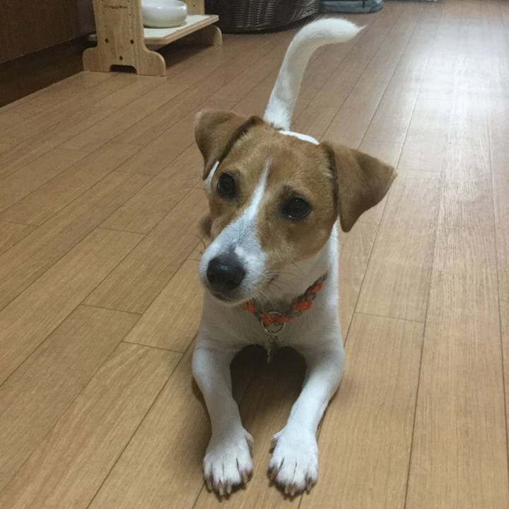 1006e381 8e3e 4dc6 947a 6b9ea38436a8