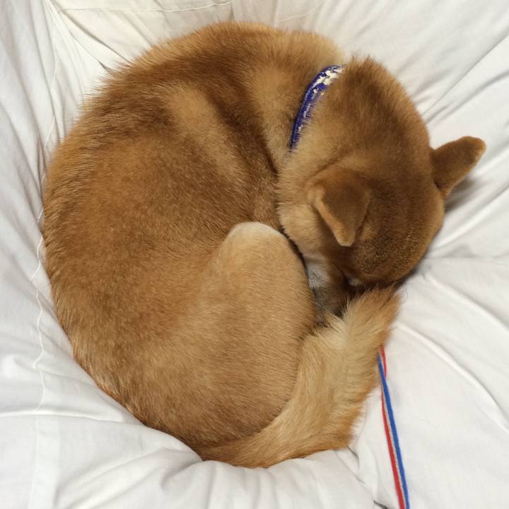 10079bdd 779b 4e6d 8e12 13f0efd45120