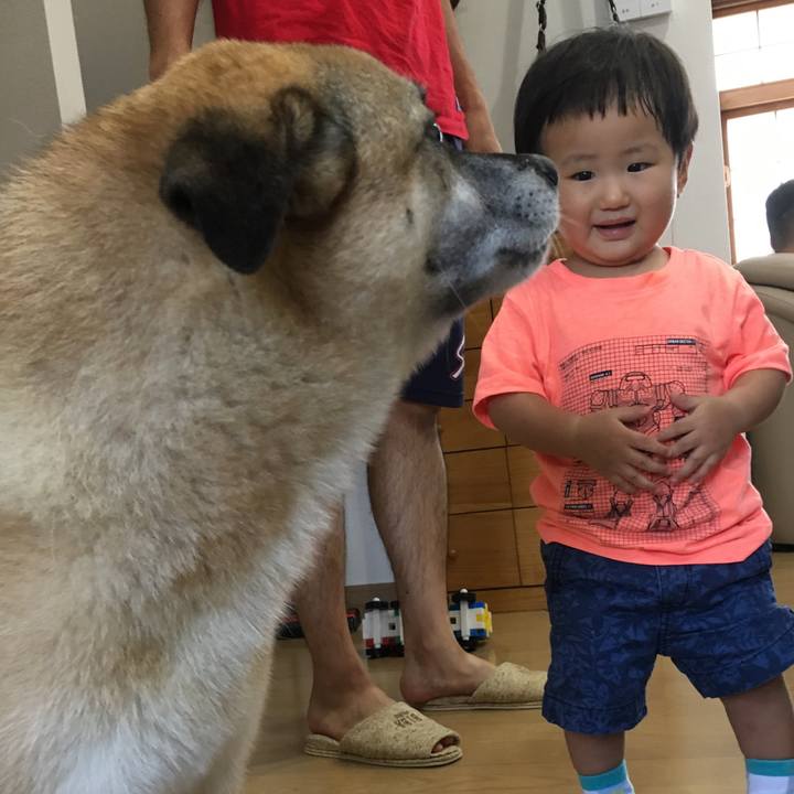 1008158e c7d2 493e 97a4 ba9796a218df