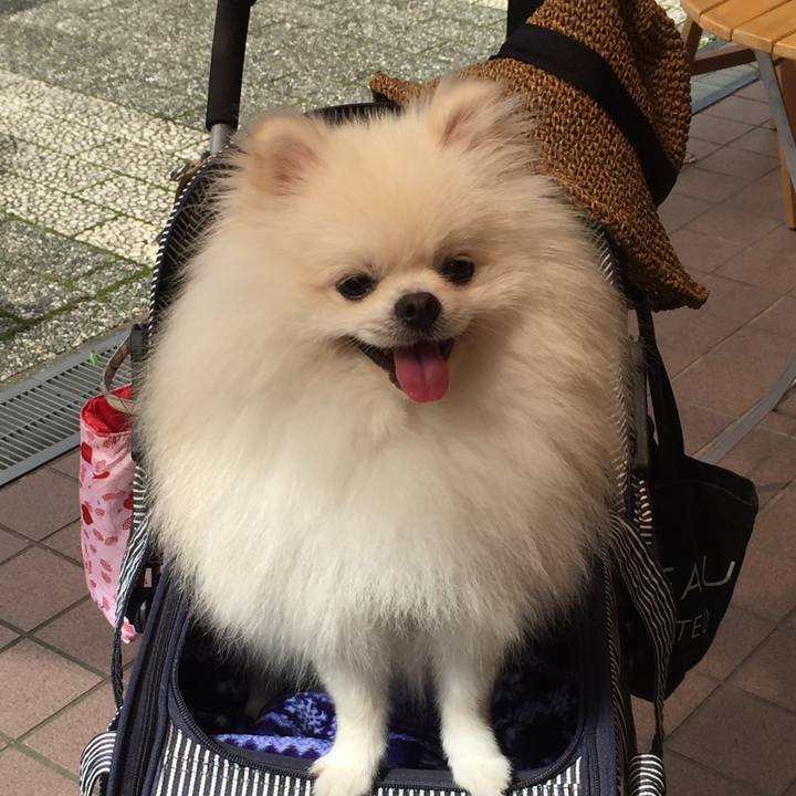 10085f1a ddee 41b8 bacd 110ee2dd8702