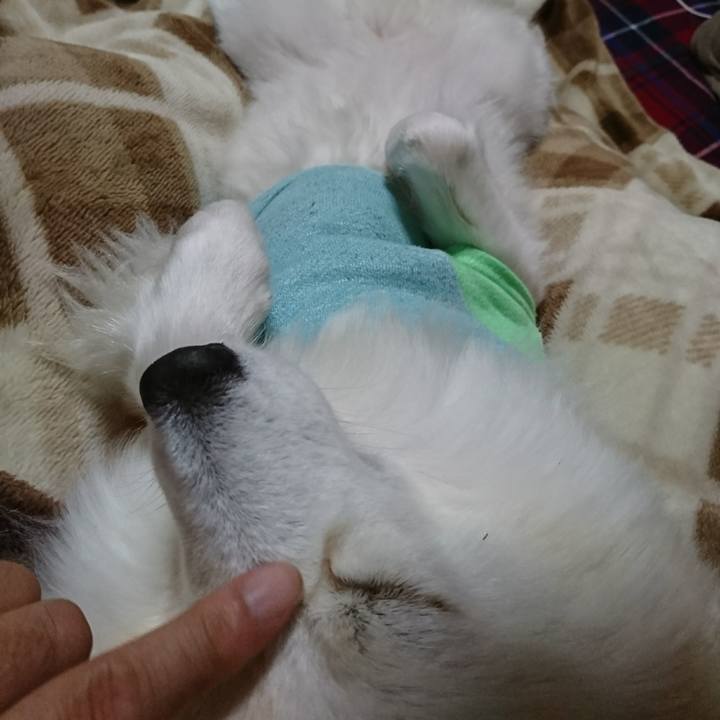 10087d68 2cbb 4b0a b93c 1b80f6643cf1