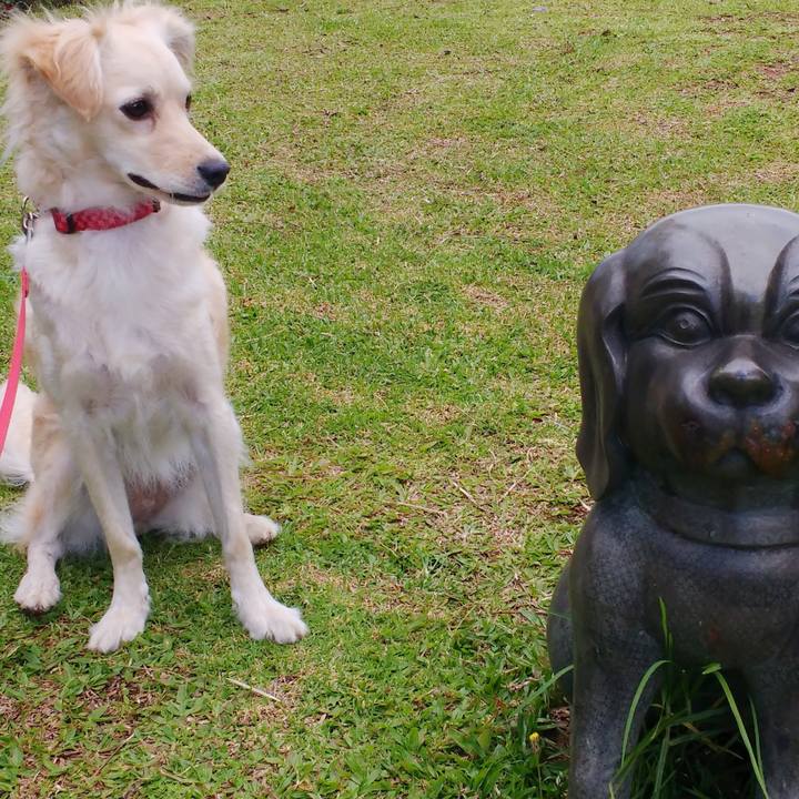 100953b9 effa 4cfa 804b 03f33569d54d