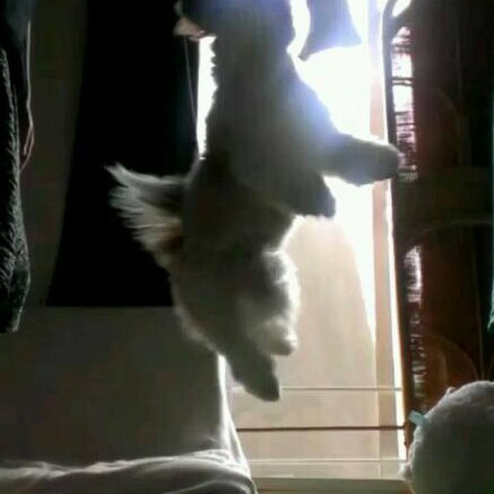 10099a9f f4d5 46b6 ba4c e0f5533f54cd