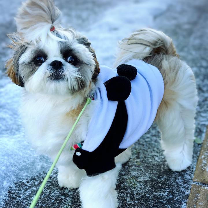 10099fe5 4858 4cca a404 3f57072ac3ce