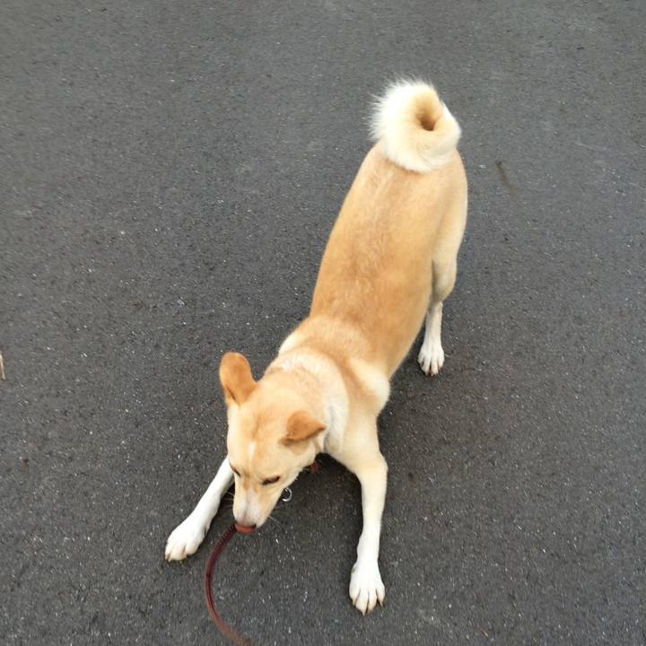 1009b111 b518 4929 a18c d1c14dd4f1c6