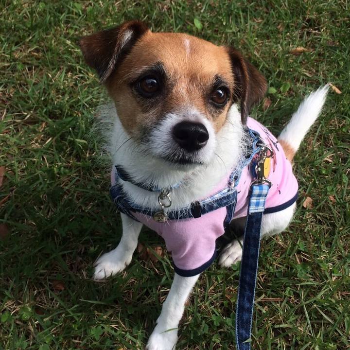 100ac030 5602 409e bf12 67fb58b08bb8