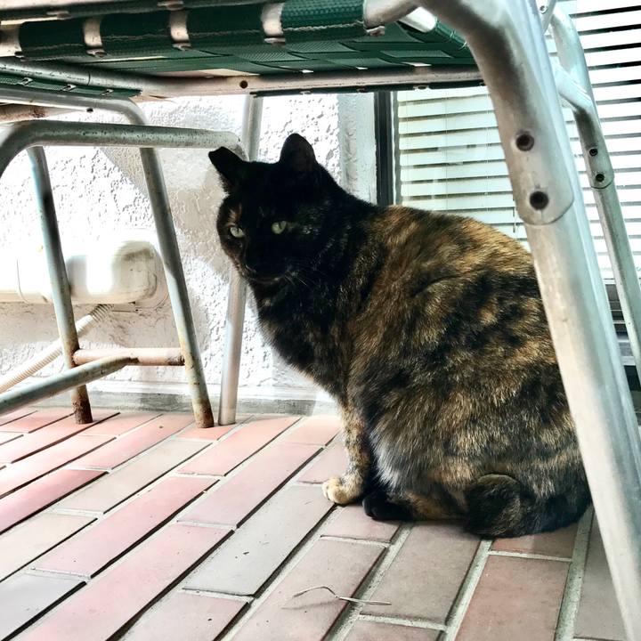 100ac6e4 189d 4e1a 809d e354df3d784e