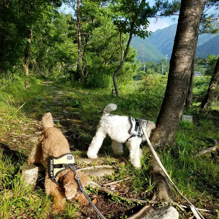 100bfacc cd12 48db 831a 8c21c43e3412