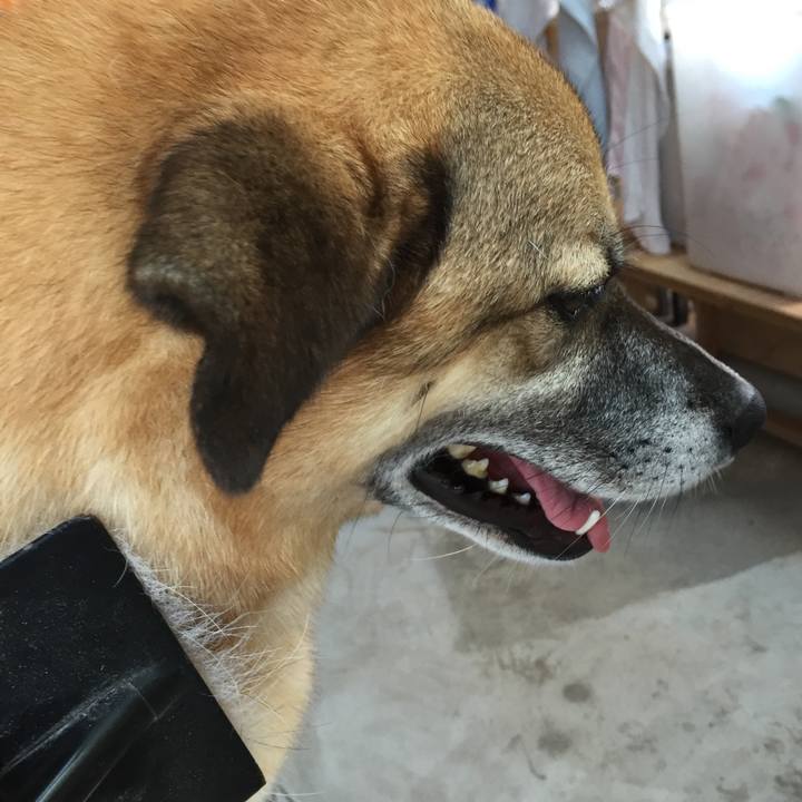 100dad45 2356 4a38 b918 5bff7a7e333b