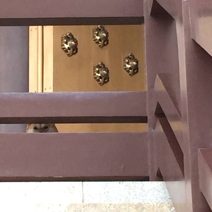 100dbb45 d9fb 4378 a5b7 6d8a7c220ab0