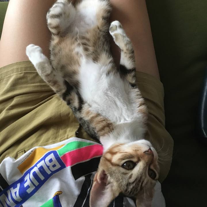 100e2dec eec0 485b 8564 c62b73315287