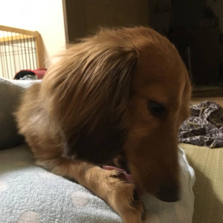 100f6a28 4e50 47fe 8510 313547a71adf