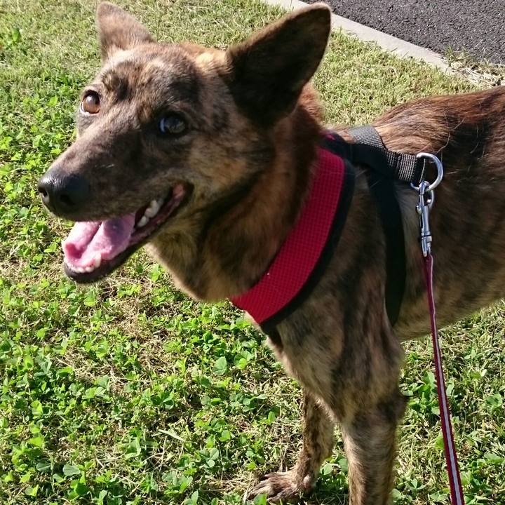 100fb41e ebde 4249 816e 541c24a740d4