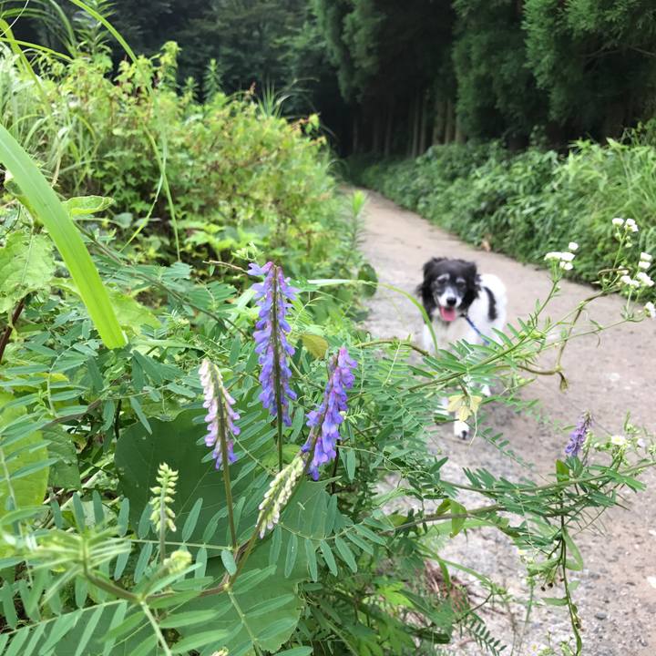 100fd784 336d 4cd9 afc2 509c52fa2ac6