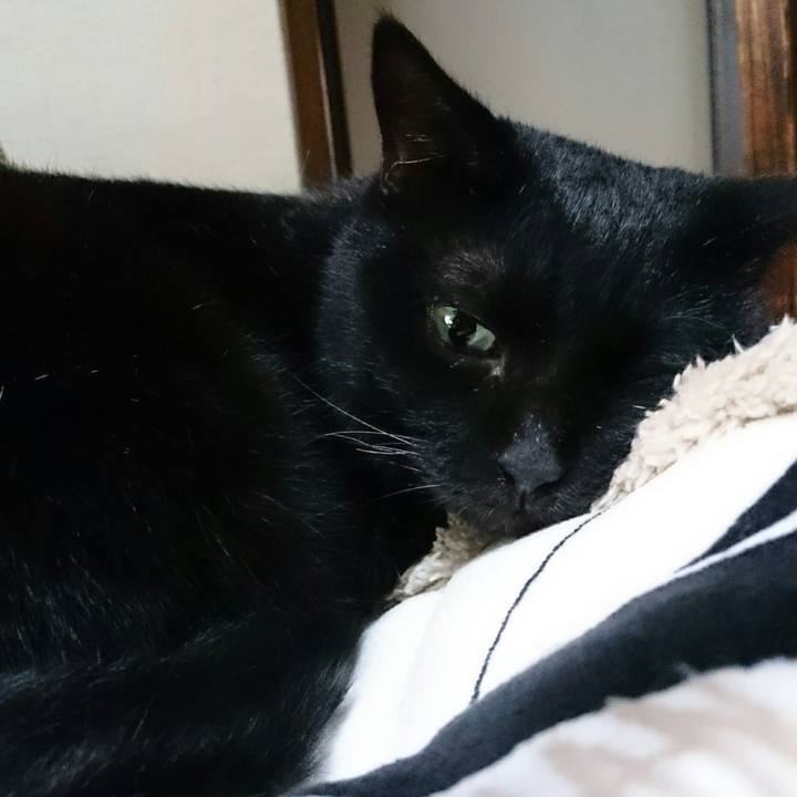 10102477 6e93 4deb 86d1 35b3f36660fb