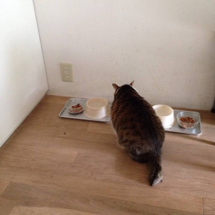 10105c24 e8ad 40b5 a565 cf0f71eac920