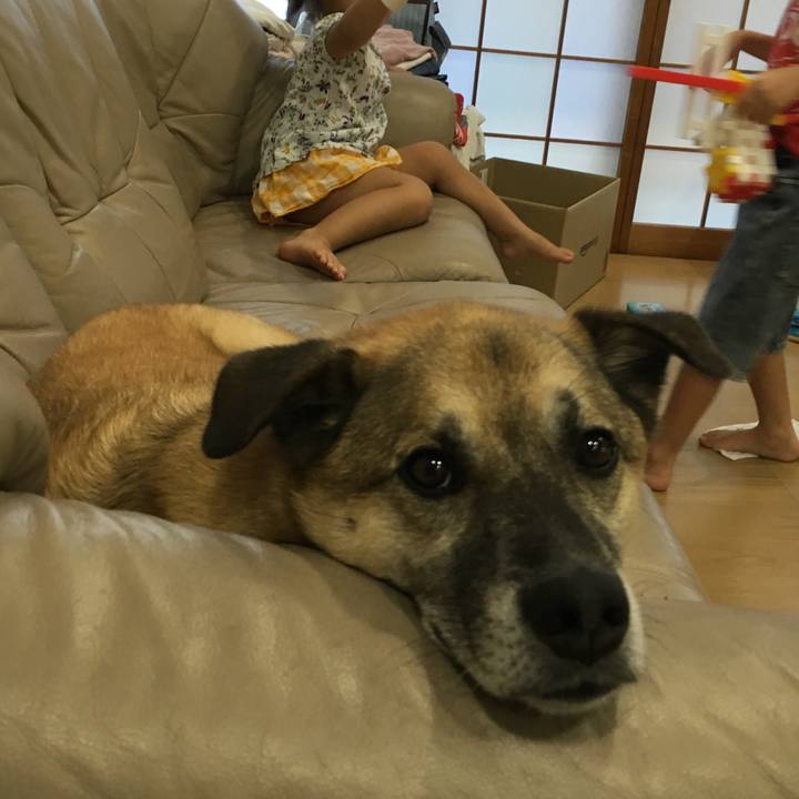 101070a0 622d 4032 ab73 b934e46ec1da