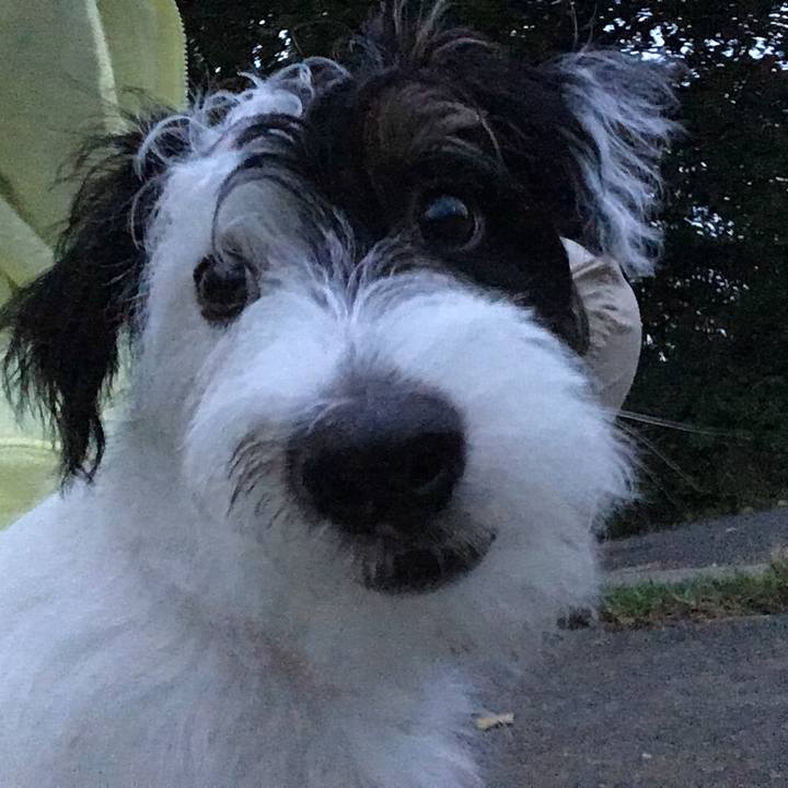 1010da2e 1fce 4839 a8b3 364b0a06ffbb