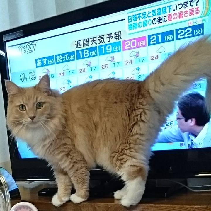 10110910 587f 4fd5 8320 5b2984899c95