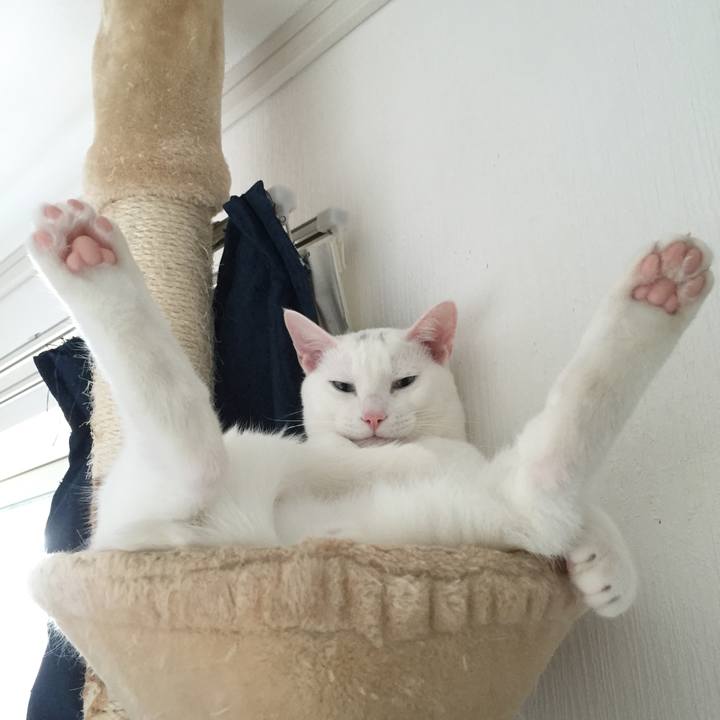 1011221e 21e2 47e8 9a0a 31f8f55dc6eb