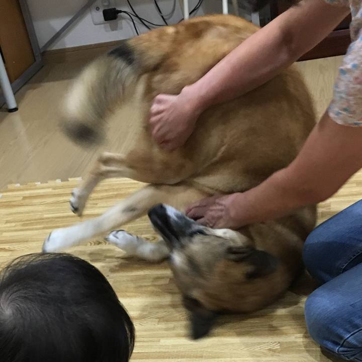 1011bab5 839e 42eb be26 203bf02b160d