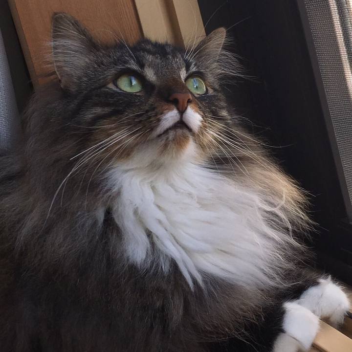 1011d3d5 b0d2 46fc bccb a17696083983