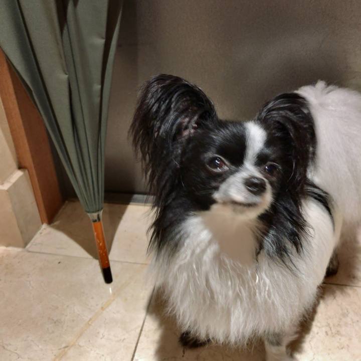 10120e17 f657 4bd8 af6d 911ef29bc596