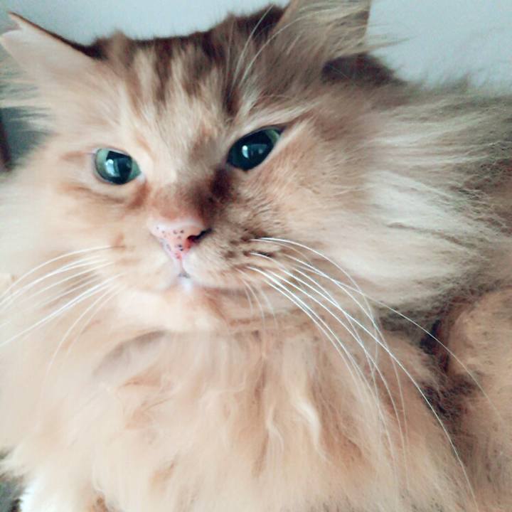 101249cc cc81 4ca3 b4df 5af61bc7355e