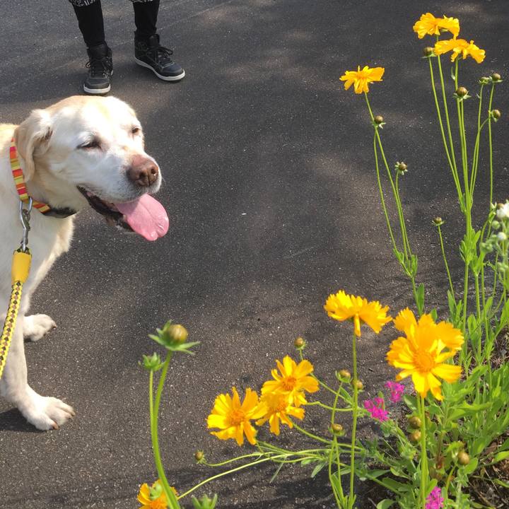 1013317a 01a5 42fd b4a6 9690a53feec1