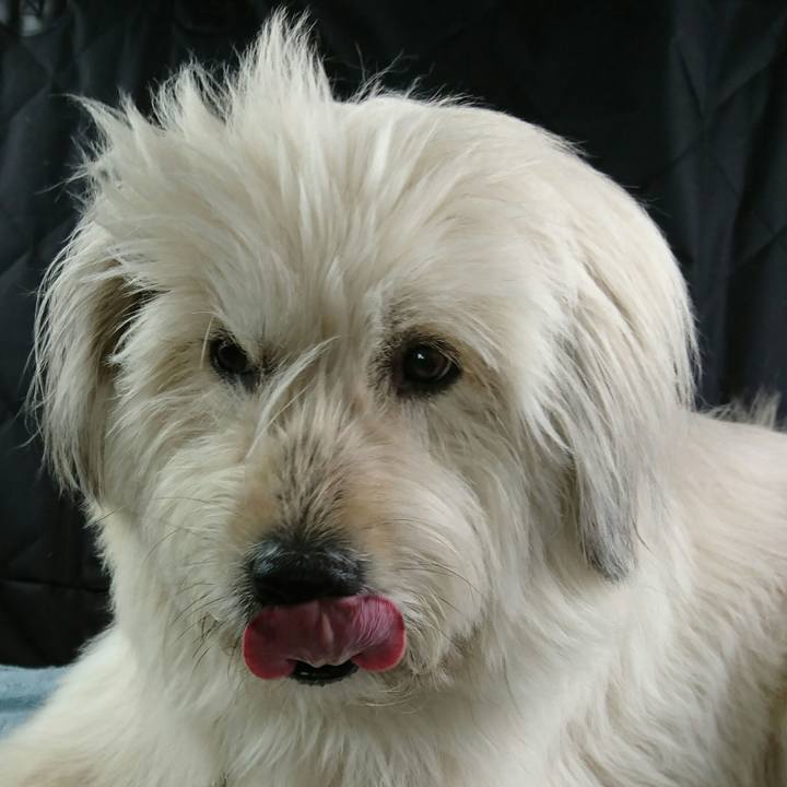 101335e6 ff59 4e91 9742 4d2fded5215d