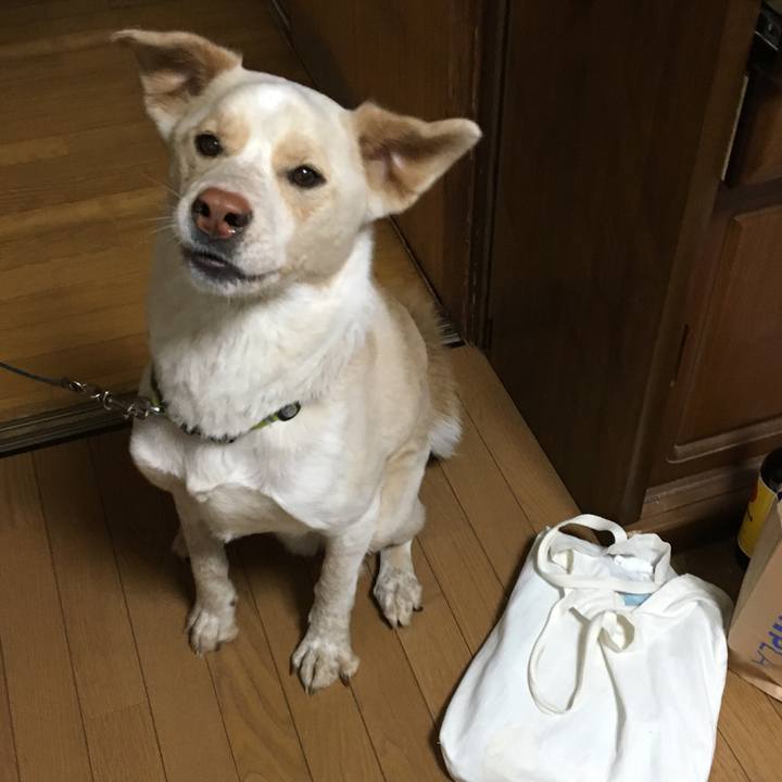 101338e2 b581 4dbe aee8 15fc1325d212