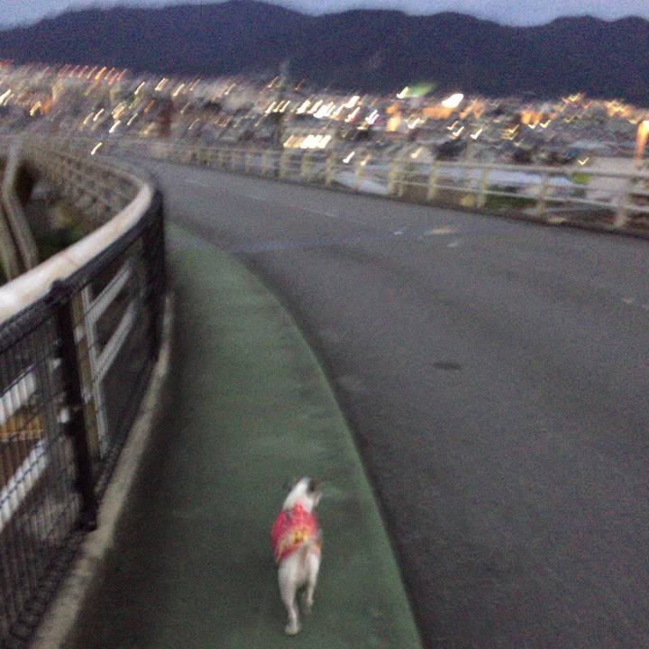 1013ca8b f683 41b8 b12f 90f12f1dbe2f