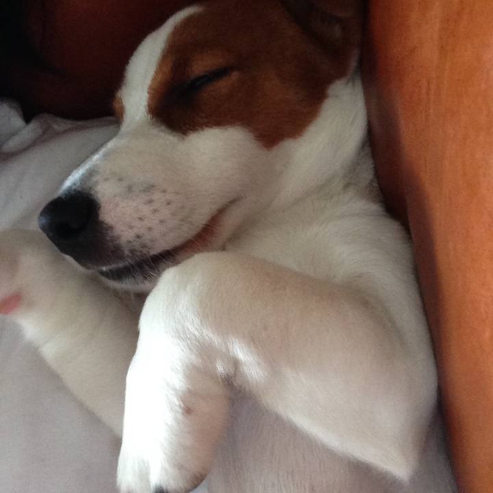 1013f0dc ecae 469b a21b c3b93c70dbec