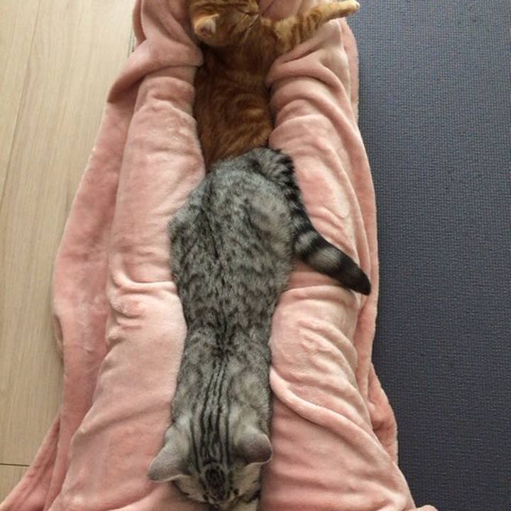 10140daf 1c97 45f0 b842 a1cb7e934631