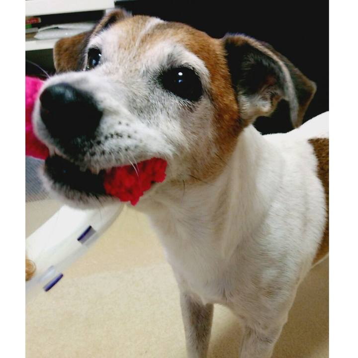 101564dd d64b 476e 99a7 bf998e405d9f