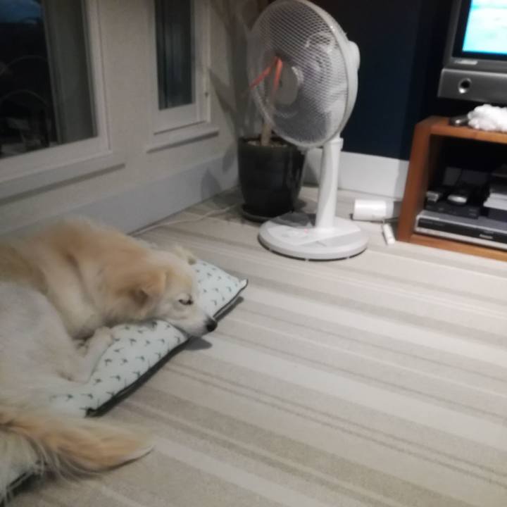 1015b70c 6b99 4d42 bd87 745f757162e9