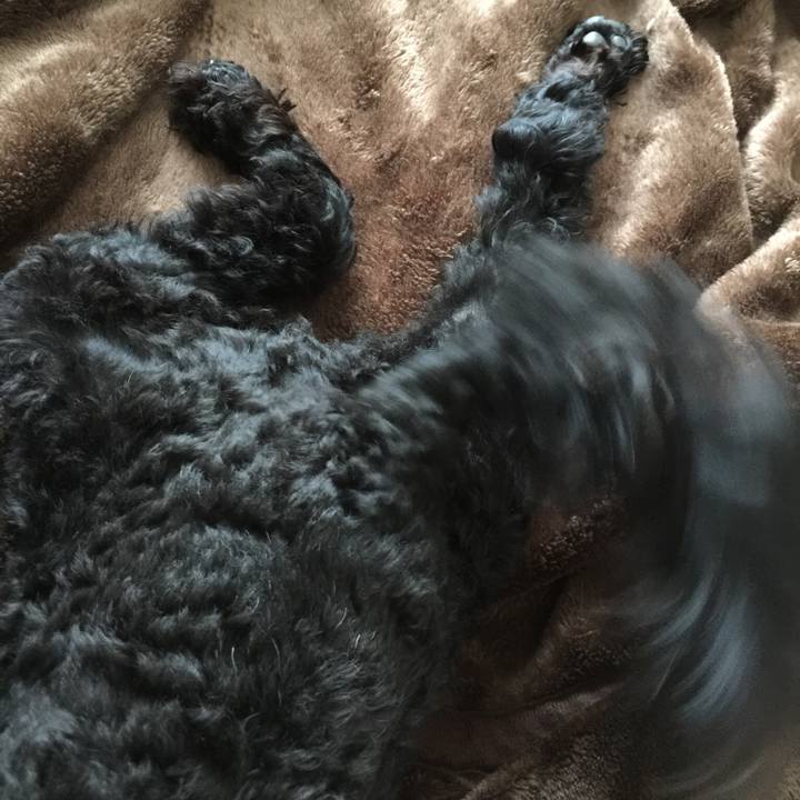 101651b9 b9f7 445b aa6e b5adb93aad32