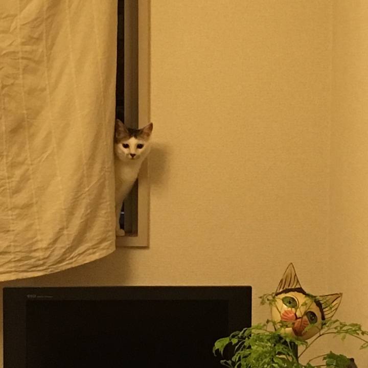 1017248a 4e79 4838 a2a3 cfbdd275b7ec