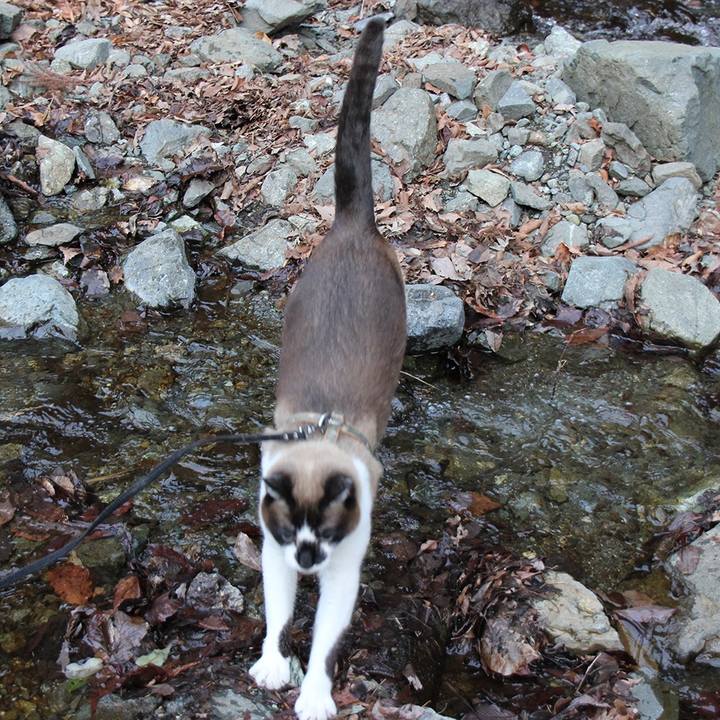 1017beae 4c35 4d24 967c 705a973b9cd5