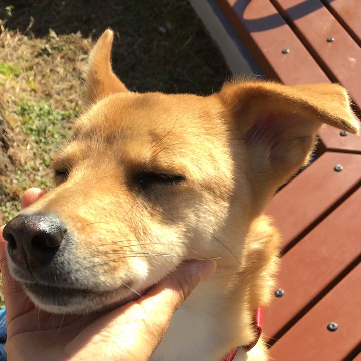 1018d99b 0f37 440b 9a1a 8ea737f189d5