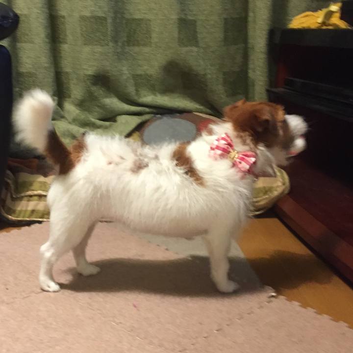 10191cd9 b667 42c0 b815 36113bfa41e8